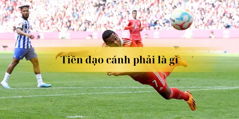 Tiền Đạo Cánh Phải Là Gì? Vai Trò Và Kỹ Năng Cần Có Của Một Tiền Đạo