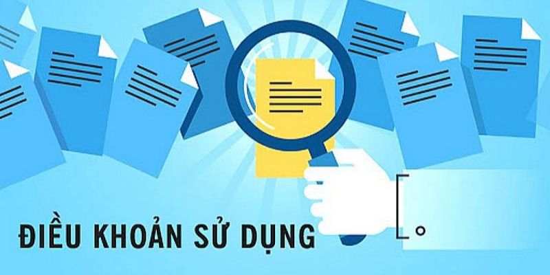 Điều khoản từ người dùng tại website