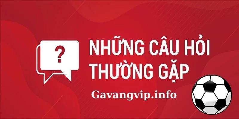 Các câu hỏi thường gặp và giải đáp về gavangvip.info