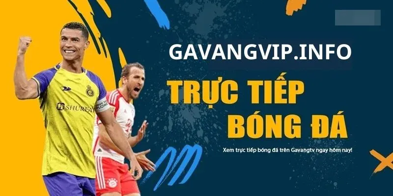 Danh sách tính năng đặc biệt trên gavangvip.info