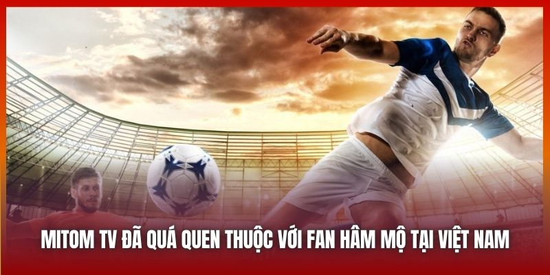 Mitom TV đã quá quen thuộc với fan hâm mộ tại Việt Nam