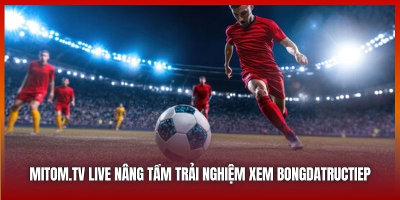 Mitom.tv Live nâng tầm trải nghiệm xem bongdatructiep